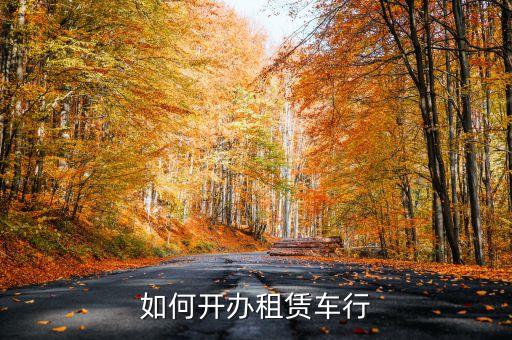 如何開(kāi)辦租賃車(chē)行