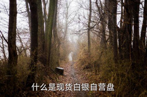 現(xiàn)貨盤是什么，國(guó)際盤現(xiàn)貨是什么意思