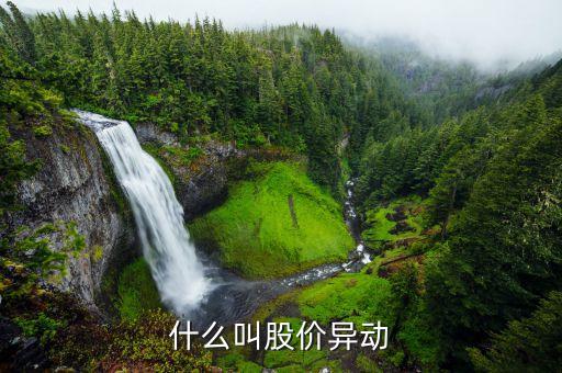 什么叫股票異動(dòng)，異動(dòng)股是什么意思