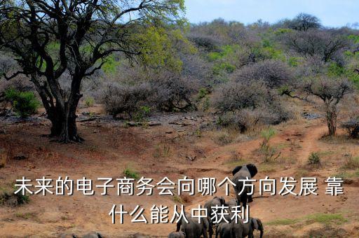 未來電商什么會掙錢，未來的電子商務(wù)會向哪個方向發(fā)展 靠什么能從中獲利
