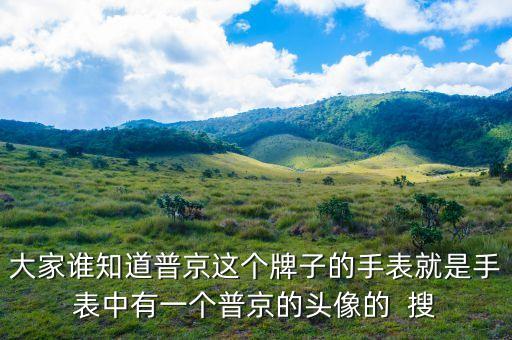 普京皮帶是什么牌子，大家誰知道普京這個牌子的手表就是手表中有一個普京的頭像的  搜