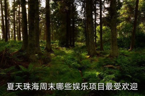 珠海巨濤有什么項目，珠海巨濤在哪里