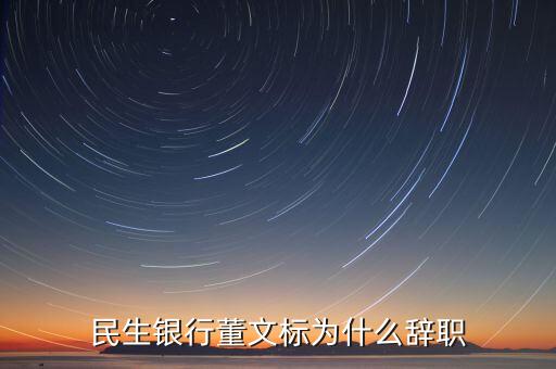 董文標(biāo)現(xiàn)在是什么職務(wù)，民生銀行董文標(biāo)為什么辭職