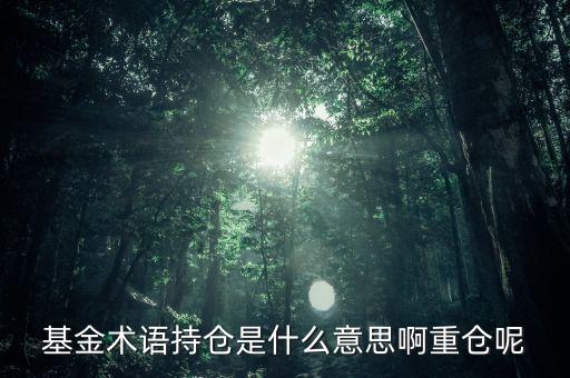 etf持倉(cāng)是什么意思，基金術(shù)語(yǔ)持倉(cāng)是什么意思啊重倉(cāng)呢