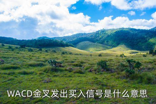 短線(xiàn)買(mǎi)入信號(hào)是什么意思，什么是短線(xiàn)買(mǎi)入