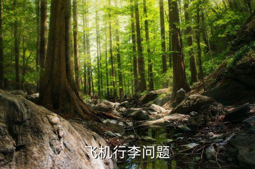 航空公司可以拒載什么傷人，憑什么飛機(jī)可以拒載