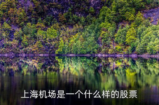 上海機(jī)場(chǎng)股票屬于什么股票，上海機(jī)場(chǎng)屬于什么行業(yè)的股票
