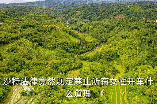 為什么沙特女人不能開車，全球唯一禁止女司機開車的是哪個國家