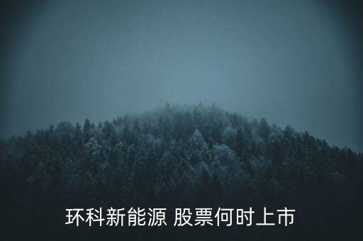 新能源股票什么時候上市呢，環(huán)科新能源 股票何時上市