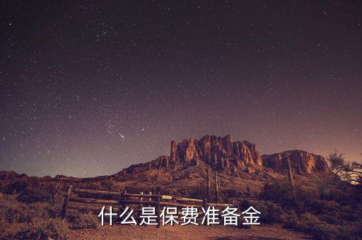 什么是保費準(zhǔn)備金