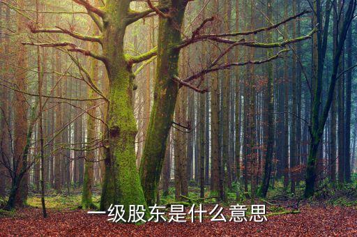 二級股東是什么意思，兩級股權(quán)結(jié)構(gòu)