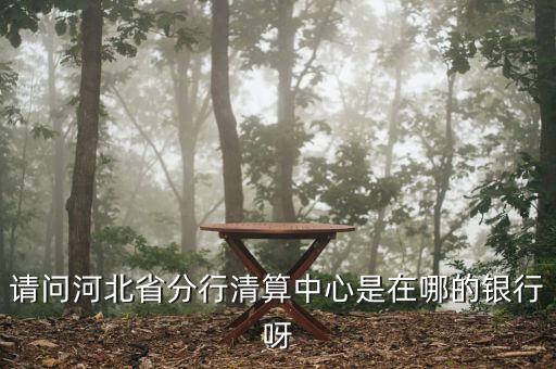 河北省分行清算中心是什么，請(qǐng)問(wèn)河北省分行清算中心是在哪的銀行呀