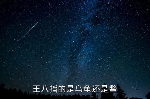海王八指什么，什么是海王八
