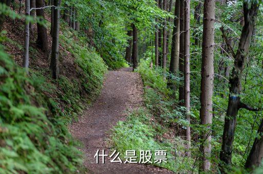 什么事股票，什么是股票