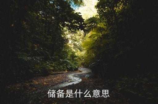 現(xiàn)金儲備是什么意思，現(xiàn)金儲備是現(xiàn)金嗎比如蘋果現(xiàn)金儲備2600億美金