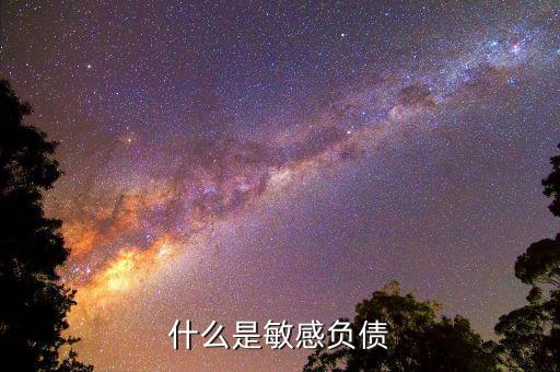 什么是直接負債，什么是直接還款