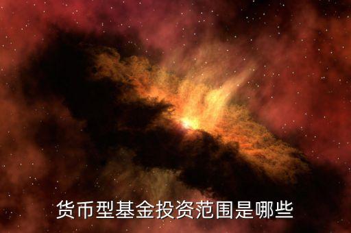貨幣基金主要投資什么，貨幣型基金投資范圍是哪些