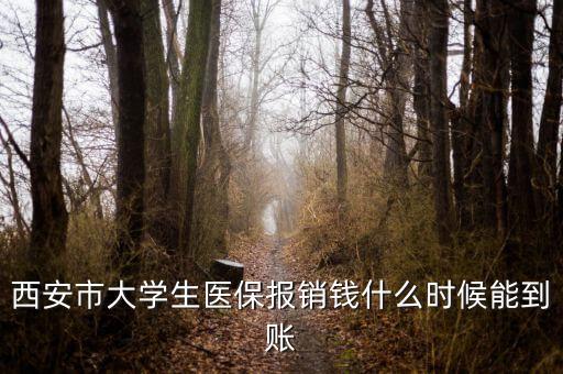 大學生醫(yī)保什么時候到賬，大學生武漢醫(yī)保報銷費什么時候到帳啊