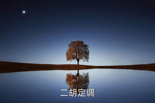 定調(diào)什么意思，二胡定調(diào)