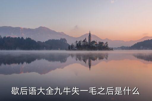 九牛失一毛的下預(yù)示什么，九牛失一毛