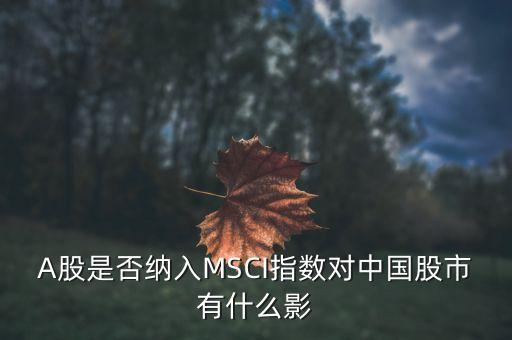 加入明晟指數有什么用，中國A股納入明晟會有什么影響