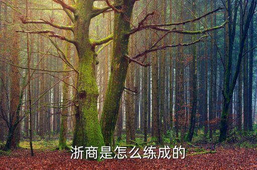 浙江商人靠什么，浙商是怎么練成的
