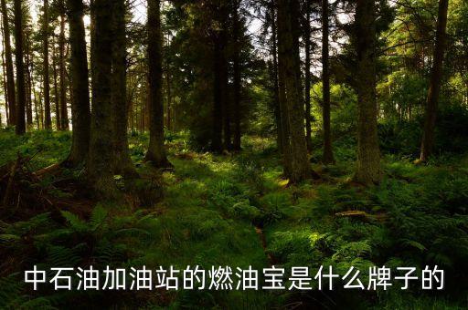 珠海中國石油里賣的是什么燃油寶，燃油寶是什么網(wǎng)上有得賣嗎