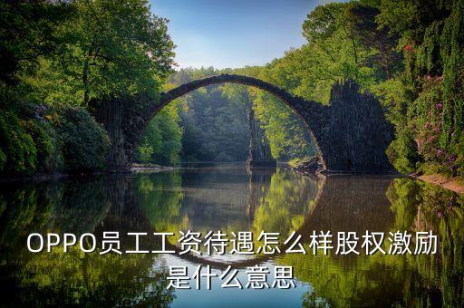 全員持股什么意思，OPPO員工工資待遇怎么樣股權(quán)激勵(lì)是什么意思