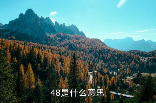 老干媽48是什么，老干媽是什么東西啊