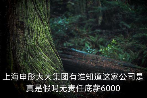 申彤大大集團賺的什么錢發(fā)工資，上海申彤大大集團有誰知道這家公司是真是假嗎無責(zé)任底薪6000