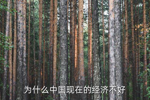為什么中國現(xiàn)在的經(jīng)濟(jì)不好