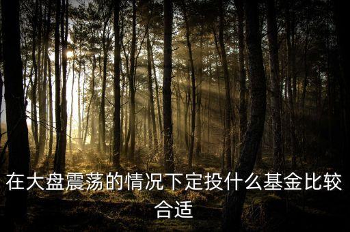 大盤調(diào)整買什么基金好，在大盤震蕩的情況下定投什么基金比較合適