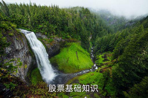 為什么要?dú)⑷谫Y盤，什么是垃圾股