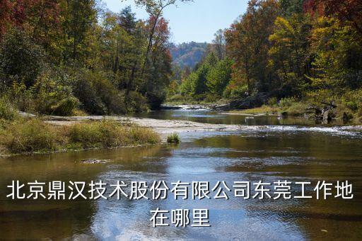 鼎漢技術(shù)主要做什么，北京鼎漢技術(shù)股份有限公司東莞工作地在哪里
