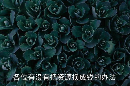 通過什么將資源轉(zhuǎn)化為財富，各位有沒有把資源換成錢的辦法