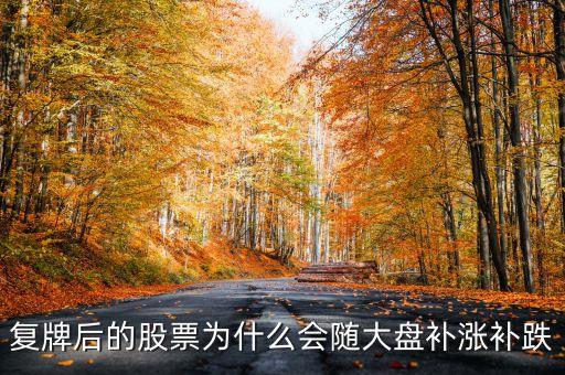 股票復牌為什么會補跌，復牌后的股票為什么會隨大盤補漲補跌