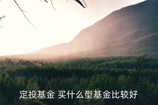 定投基金買什么最好，定投什么基金好