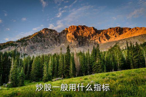買股票看什么指標(biāo)好，股票哪個(gè)指標(biāo)最好用
