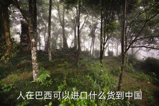 中國從巴西進口什么，中國向巴西進口哪些東西