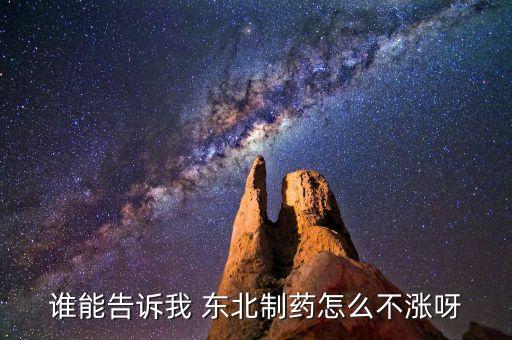 東北制藥為什么不漲，002251為什么不漲是不是公司出問(wèn)題了