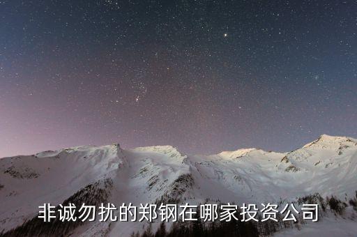 鄭鋼的投資公司是什么，南大鄭鋼投資什么發(fā)的財(cái)