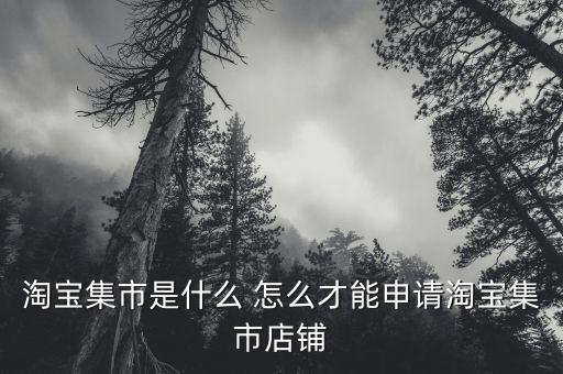 淘寶集市店鋪是什么，淘寶集市店是什么