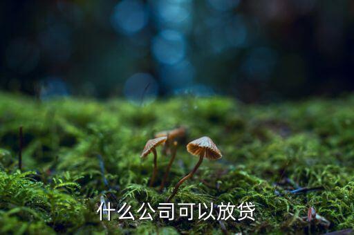 現(xiàn)在什么眾籌公司可以放貸款，什么公司可以放貸