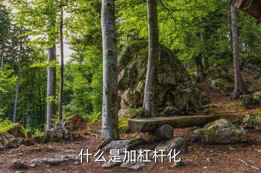 加杠桿化是什么意思，什么是加杠桿化