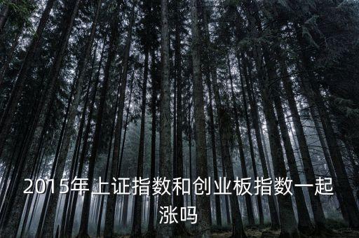 2015年創(chuàng)業(yè)板為什么漲，2015年上證指數(shù)和創(chuàng)業(yè)板指數(shù)一起漲嗎