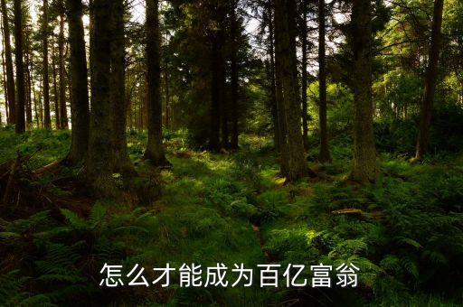 拿什么沖百億，怎么才能成為百億富翁