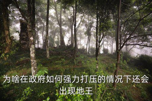 2016年為什么地王頻出，地王頻現(xiàn)傳遞什么信號(hào)