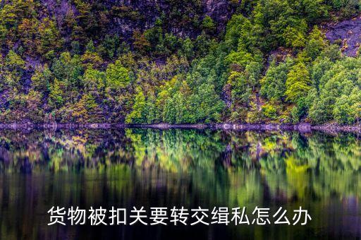 集裝箱被扣緝私需要辦什么手續(xù)，貨物被扣關(guān)要轉(zhuǎn)交緝私怎么辦