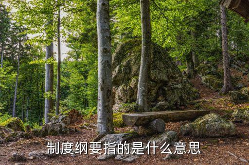 什么是公司綱要，制度綱要指的是什么意思