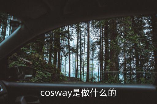 湯敏家是做什么的，synovate公司主要是干什么的說得通俗一點
